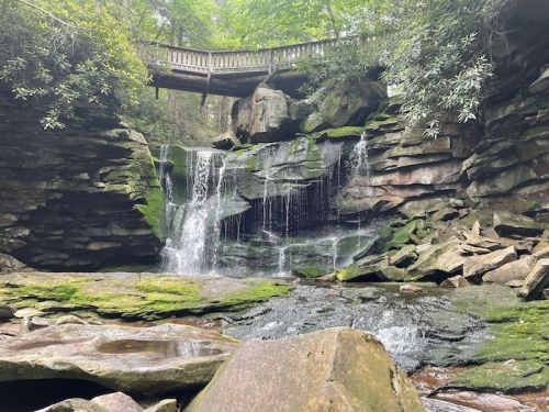 A serene waterfall cascades over mossy rocks, with a wooden bridge above surrounded by lush greenery.
