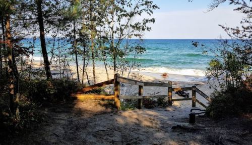 A serene beach view framed by trees, with gentle waves lapping at the shore under a clear blue sky.
