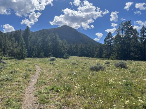 A scenic view of a grassy meadow surrounded by trees, with a mountain and blue sky filled with clouds in the background.