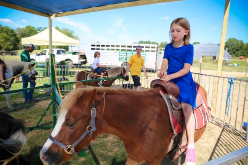 A young girl in a blue dress sits on a pony, while adults and other ponies are nearby in a sunny outdoor setting.