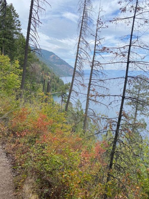A scenic view of a lake surrounded by mountains, with colorful autumn foliage and tall trees along a hiking path.