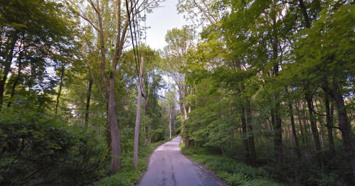 A narrow, winding road surrounded by lush green trees and foliage on both sides.