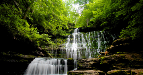 A serene waterfall cascading over rocks, surrounded by lush green trees and foliage.