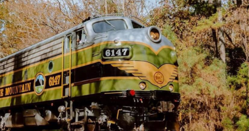 A vintage green and gold train engine, numbered 6147, surrounded by autumn foliage.