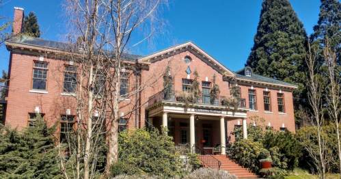 A brick building with large windows, surrounded by trees and greenery, under a clear blue sky.