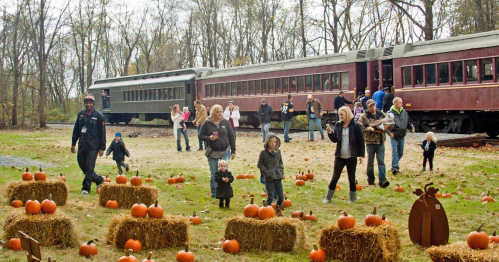 Families and children enjoy a pumpkin patch near a vintage train, with pumpkins scattered on the ground.