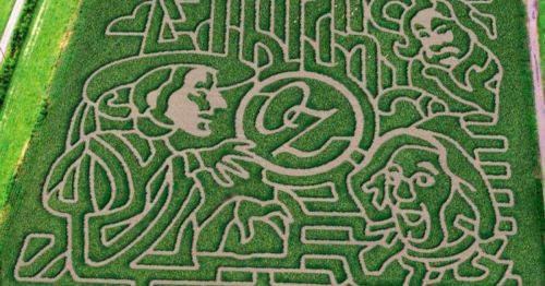 Aerial view of a corn maze featuring intricate designs of characters and symbols from "The Wizard of Oz."