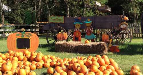 A pumpkin patch with scattered pumpkins, hay bales, and cheerful scarecrows near a wooden wagon.