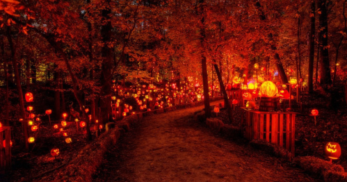 A winding path through a forest illuminated by numerous glowing jack-o'-lanterns among vibrant autumn foliage.