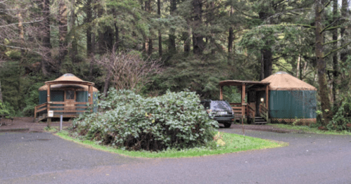 Two cozy cabins nestled in a lush forest, surrounded by greenery and a winding path. A car is parked nearby.