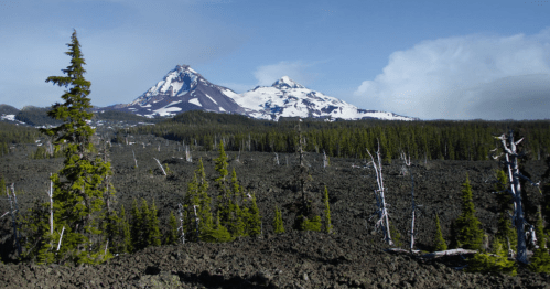 A rugged landscape featuring two snow-capped mountains, surrounded by a field of volcanic rock and sparse trees.