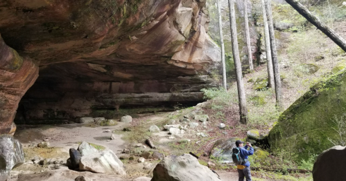 A person stands in a large cave surrounded by rocks and trees, capturing the natural scenery with a camera.