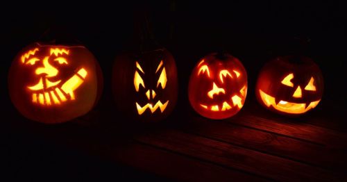 Four carved pumpkins with glowing faces, featuring various spooky and playful expressions, set against a dark background.