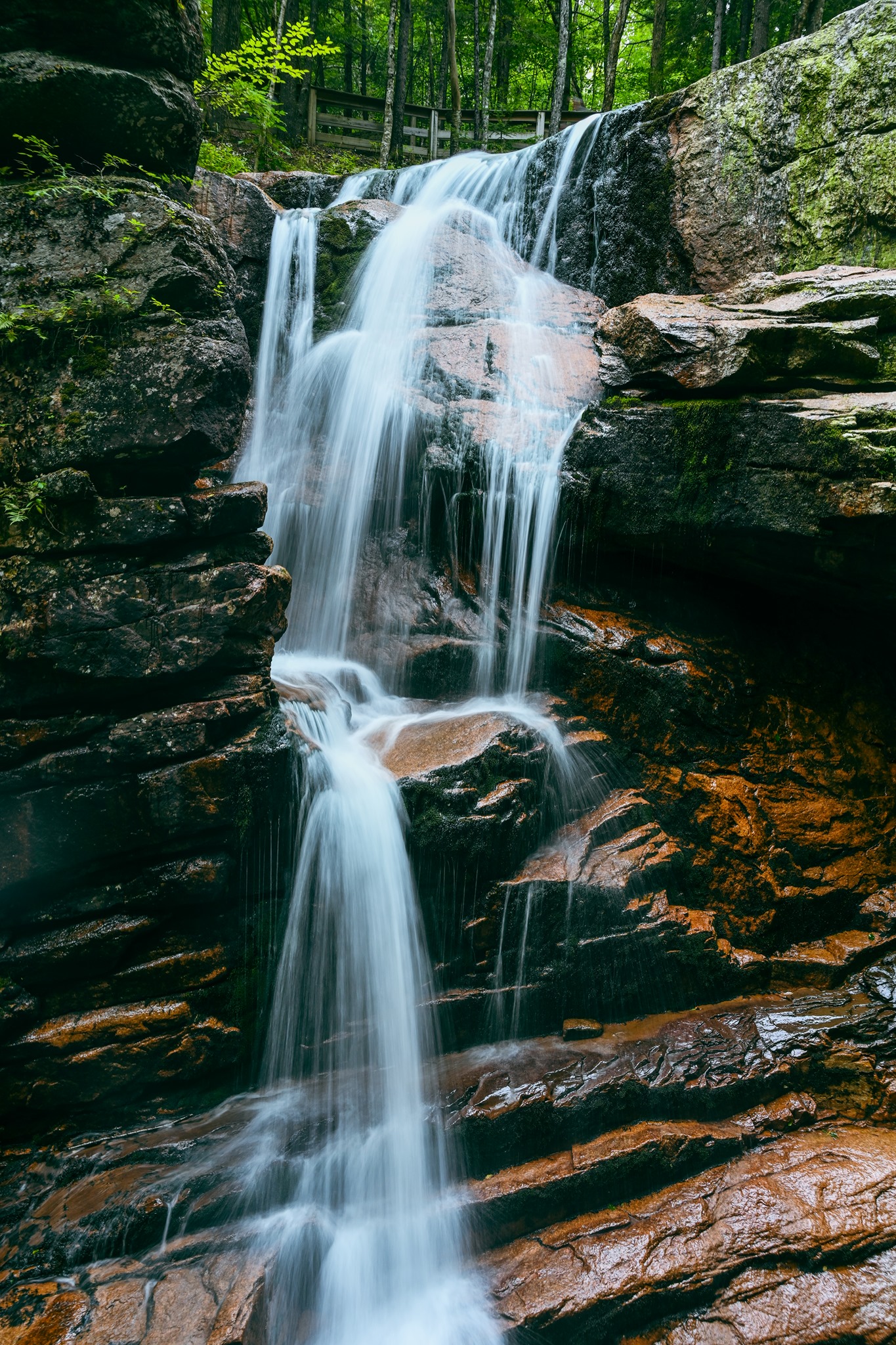 Flume Gorge Loop Trail