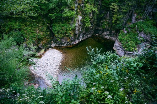 A serene, secluded pool surrounded by lush greenery and rocky cliffs, with a heart-shaped patch of stones in the water.