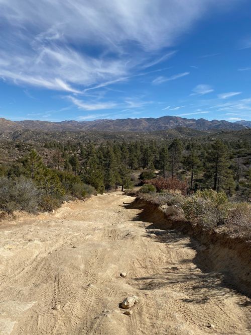 A dirt road winds through a mountainous landscape, surrounded by trees and under a clear blue sky with wispy clouds.