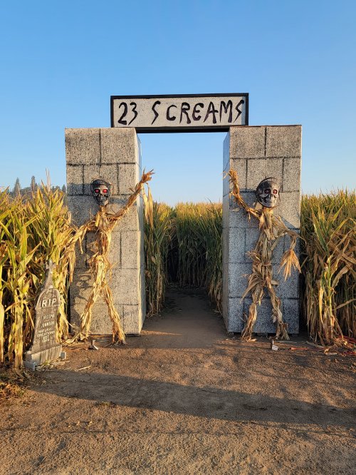 Two scarecrow figures stand at the entrance of a cornfield, framed by a sign reading "23 SCREAMS."