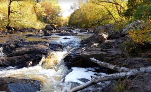 A serene river flows over rocks, surrounded by trees with autumn foliage in a peaceful natural setting.
