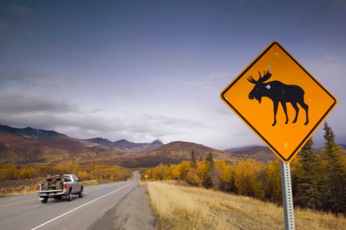 A moose crossing warning sign beside a road with a truck driving past, surrounded by autumn-colored mountains.