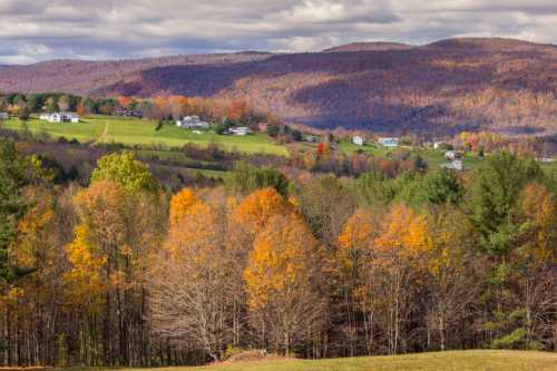 A scenic landscape featuring rolling hills, colorful autumn trees, and distant houses under a cloudy sky.