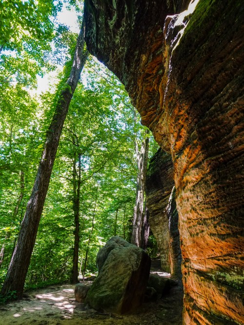 A sunlit forest scene featuring a rocky archway, tall trees, and a large boulder on a dirt path.