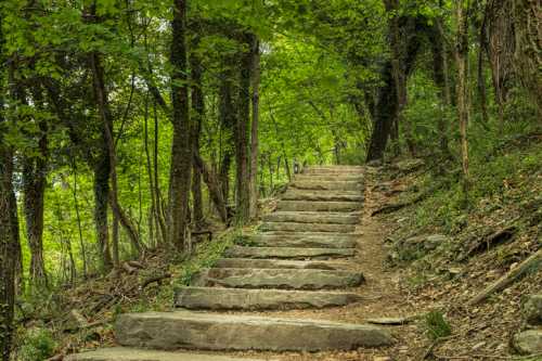 Stone steps lead up a forested path, surrounded by lush green trees and foliage.