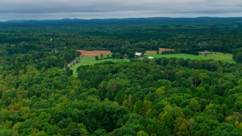 Aerial view of lush green forests and fields under a cloudy sky, with distant hills in the background.