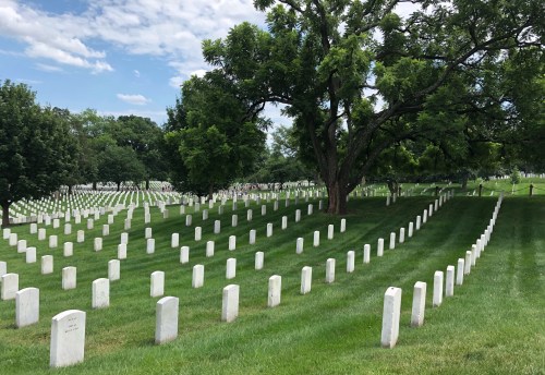 A serene cemetery with rows of white gravestones set against a green landscape and blue sky.