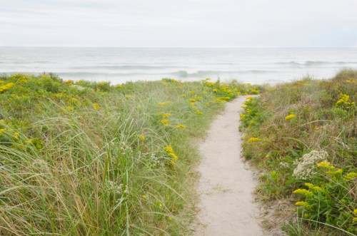 A sandy path leads through lush grass and yellow flowers to a calm ocean under a cloudy sky.