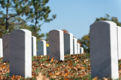 A serene cemetery scene with white gravestones surrounded by fallen autumn leaves and trees in the background.