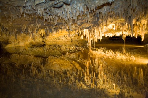 Stalactites and stalagmites reflect in a calm underground pool, illuminated by soft lighting in a cave.