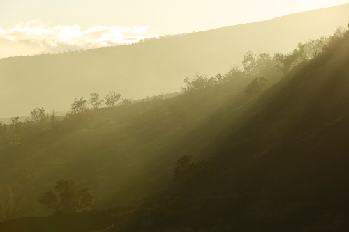 Golden sunlight filters through misty hills, highlighting silhouettes of trees against a soft, hazy background.