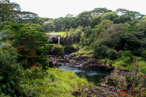 Lush green landscape with a waterfall cascading into a serene river, surrounded by vibrant foliage and trees.