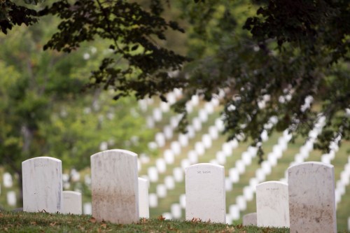 A serene cemetery scene with white gravestones set against a backdrop of green trees and a sloping hillside of markers.
