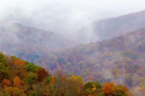 A misty landscape of rolling hills covered in vibrant autumn foliage in various shades of orange, yellow, and green.