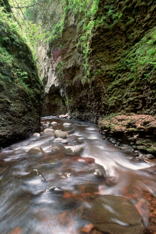 A serene river flows through a narrow, moss-covered canyon with rocky banks and lush greenery above.