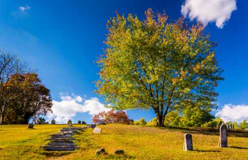 A serene landscape featuring a grassy hill with a large tree and gravestones under a bright blue sky with fluffy clouds.