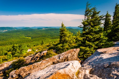 A scenic view of lush green mountains and trees under a clear blue sky, with rocky foreground.
