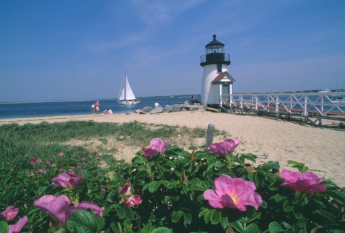 A lighthouse by the beach with pink flowers in the foreground and a sailboat in the background under a clear blue sky.