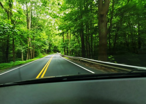 A winding road through lush green trees, viewed from the front of a car.
