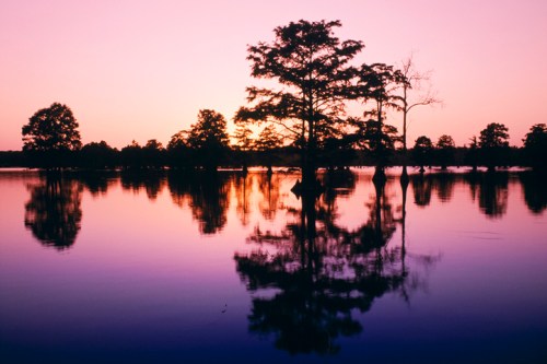 Silhouetted trees reflect on calm water at sunset, with a gradient of purple and orange hues in the sky.