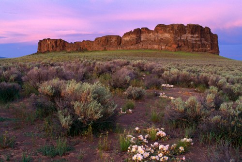 A rocky outcrop rises above a field of sagebrush and wildflowers under a colorful sunset sky.