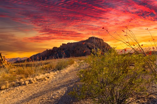 A desert landscape at sunset, featuring vibrant clouds and silhouetted mountains, with wildflowers in the foreground.