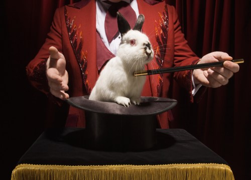 A magician in a red coat performs a trick with a white rabbit sitting in a top hat, holding a wand.