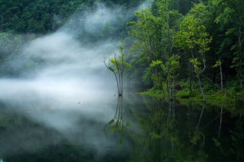 A serene lake surrounded by mist and lush green trees, reflecting the calm water.