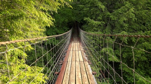 A wooden suspension bridge stretches over a lush green forest, surrounded by tall trees.