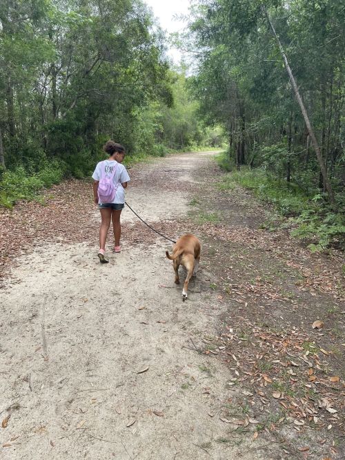 A person walks a dog along a sandy path in a wooded area, surrounded by greenery.