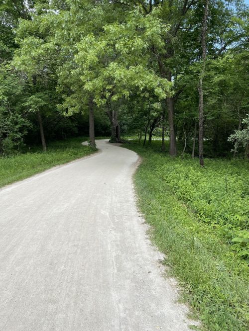 A winding gravel path surrounded by lush green trees and foliage in a serene outdoor setting.