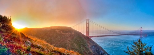 A panoramic view of the Golden Gate Bridge at sunrise, surrounded by fog and lush greenery.
