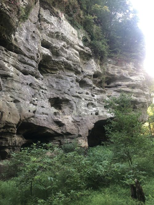 A rocky cliff with textured surfaces, surrounded by lush greenery and trees in a natural setting.